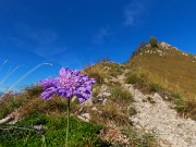 MONTE GIOCO (1366 m) da Spettino Alto in solitaria-13ott26-FOTOGALLERY